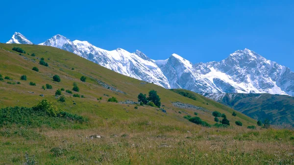 Paesaggio Erba Verde Montagne Innevate Trekking Viaggi Georgia — Foto Stock