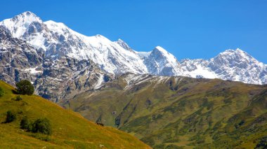 Yeşil çimenlerin ve karlı dağların manzarası. Gürcistan 'da seyahat ve seyahat