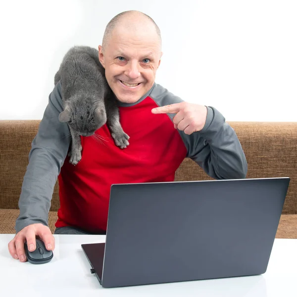 男人和一只灰色的猫在看一个笔记本电脑屏幕 在互联网上搜索信息的概念 免版税图库图片