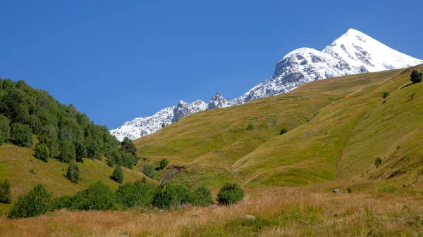 Paesaggio Erba Verde Montagne Innevate Trekking Viaggi Georgia — Foto Stock