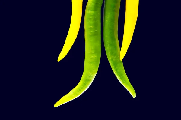 Gekleurde Hete Chili Een Donkere Achtergrond Peper Plantaardig Vitaminevoedsel — Stockfoto