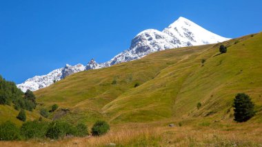Yeşil çimenlerin ve karlı dağların manzarası. Gürcistan 'da seyahat ve seyahat