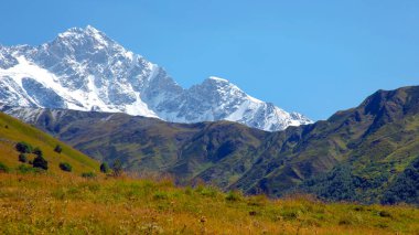 Yeşil çimenlerin ve karlı dağların manzarası. Gürcistan 'da seyahat ve seyahat