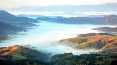 Ukrayna Karpatlarının dağlık orman bölgesinde sabah sisi. Doğadaki manzara. Dağlarda şafak vakti