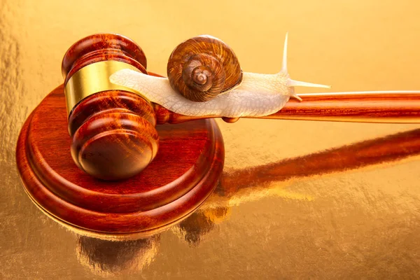 Snail Hammer Justice Concept Slow Adoption Laws Judicial Decision Law — Stock Photo, Image