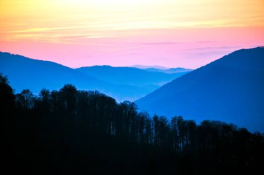 Karpatların yamaçlarında sabah manzarası. Ukrayna