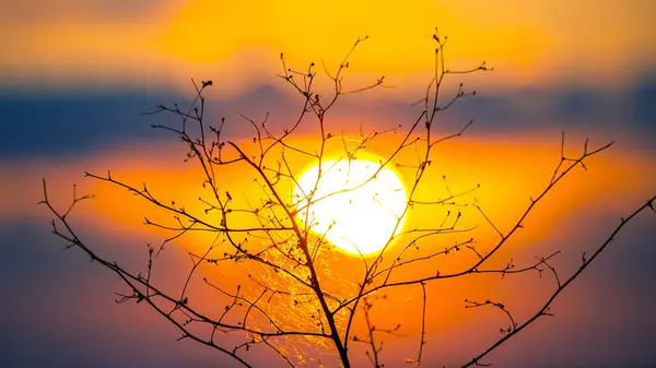 Barevné Mraky Obloze Při Západu Slunce Krajina Přírodě Jasná Šťavnatá — Stock fotografie