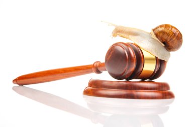 Beyaz bir arka planda salyangoz ve adalet tokmağı. Kanunların yavaş kabulü ve yargı kararı kavramı. Toplumda hukuk ve hukuk