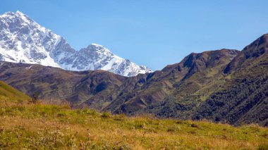 Yeşil çimenlerin ve karlı dağların manzarası. Doğadaki manzara