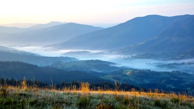 Ukrayna Karpatları 'nın dağlık orman bölgesinde sis var. Doğadaki manzara. Dağlarda şafak vakti