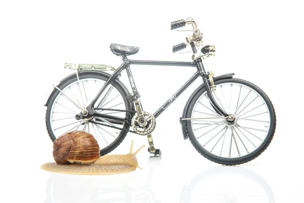 Modelo Caracol Bicicleta Sobre Fondo Blanco Velocidad Movimiento Los Vehículos — Foto de Stock