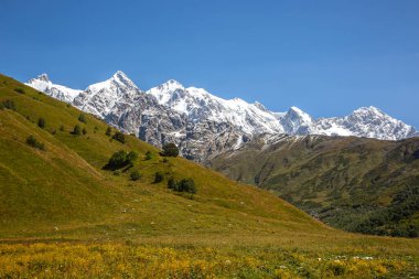 Yeşil çimenlerin ve karlı dağların manzarası. Doğadaki manzara