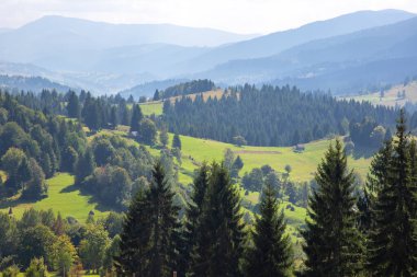 Ukrayna Karpatlarının dağlık bölgelerinde manzara ve doğa