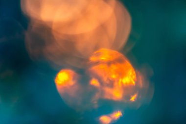 Bir ağacın yapraklarında batan güneşin bulanık ışığı.