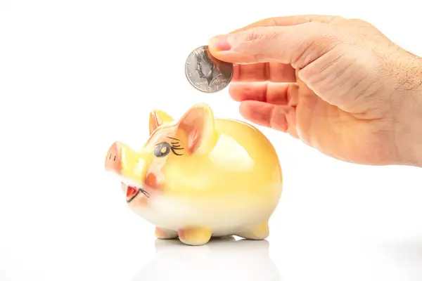 Ceramic Coin Box Shape Pig Accumulation Finances Growth Monetary Incomes — Stock Photo, Image