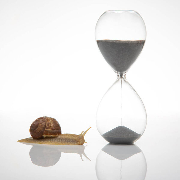 Snail and hourglass on a white background. Speed of time in a day