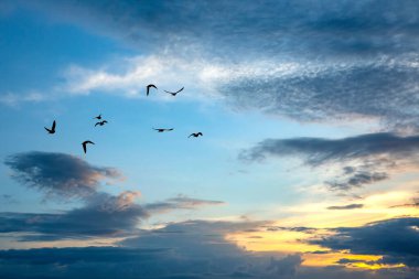 Akşam gökyüzünde parlak renkli bulutlar. Gün batımından önce gökyüzünde yemyeşil bulutlar