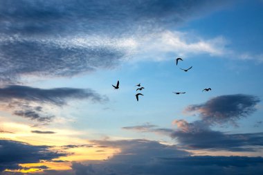 Akşam gökyüzünde parlak renkli bulutlar. Gün batımından önce gökyüzünde yemyeşil bulutlar
