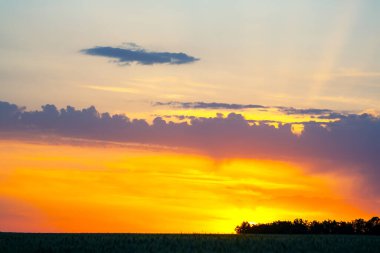 Akşam gökyüzünde parlak renkli bulutlar. Gün batımından önce gökyüzünde yemyeşil bulutlar