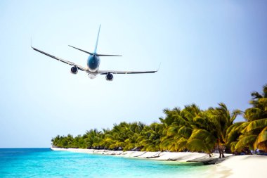 Yolcu uçağı tropik bir tatil köyünün palmiye ağaçlarının üzerinden uçar. Hava taşımacılığı endüstrisi