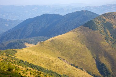 Karpatların yamaçlarında sabah manzarası. Ukrayna
