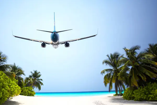 Passagiersvliegtuig Vliegt Palmbomen Van Een Tropisch Resort Luchtvervoer Stockfoto