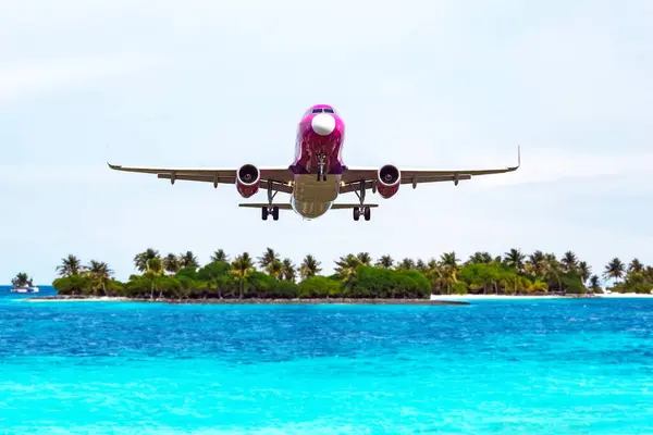 客机在热带旅游胜地的棕榈树上飞行 空运业 免版税图库照片