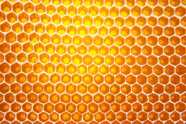 Taraklarda arı taze bal. arka plan ve doku. Doğal yiyecekler vitamini. arı işi ürünü