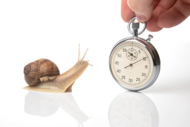 Snail and stopwatch in hand on a golden background. Speed concept. Measuring time at a distance. Finish in sports competitions. clipart