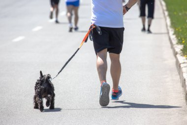 athlete runner runs a distance along the street with his dog clipart