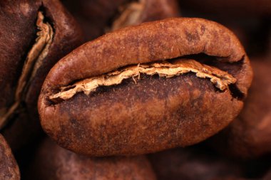 Diğer fasulyelerin yanında kavrulmuş kahve çekirdeğinin ayrıntılı makro görüntüsü parlak yüzeyi ve doğal tonlarını gözler önüne seriyor. Mutfak görselleri için harika..