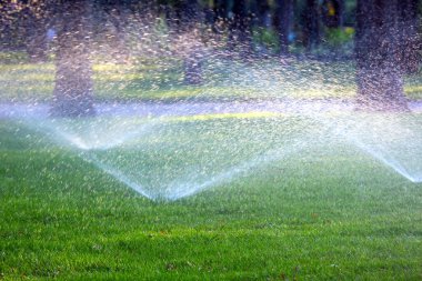 Parkta otomatik sulama. Şehir parkının dinlenme alanındaki dekoratif çimleri sulamak. Güneş ışığındaki çeşme