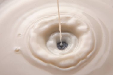 Sütün beyaz bir sıvıya sıçrayıp dalgalanmalar ve büyüleyici bir girdap oluşturması. Süt ürünleri reklamları, yemek fotoğrafçılığı ya da temiz beyaz arka planda yaratıcı içecek kavramları için mükemmel.