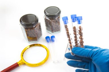 Eldivenli bir el kahve çekirdekleri ile test tüpleri tutar, kavanozlarla çevrili, bir büyüteç, ve beyaz arka planda dağınık fasulyeler, bilimsel araştırmalara işaret eder.