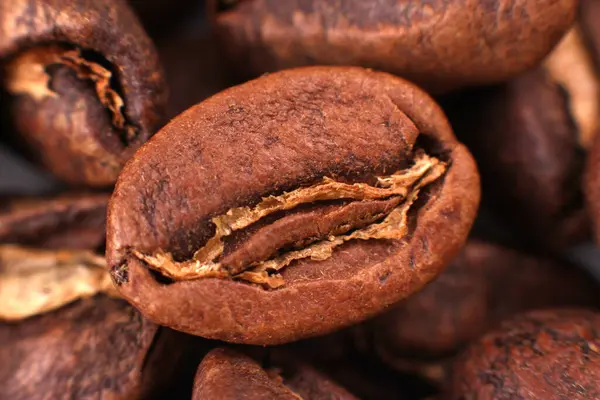 Diğer fasulyelerle çevrili kavrulmuş kahve çekirdekleri zengin kahverengi dokusunu ve doğal katmanlarını ön plana çıkarıyor. Kahve markası için ideal.