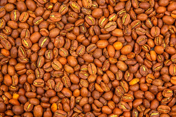 Kavrulmuş kahve çekirdeklerini yakın çekim, zengin kahverengi tonlar ve doğal çatallar çerçeveyi topraksı dokularıyla dolduruyor. Kahve temalı arka plan ve tasarımlar için mükemmel..