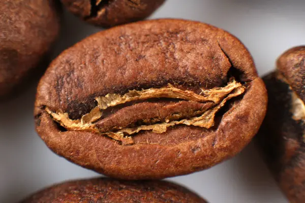 Kavrulmuş tek bir kahve çekirdeğinin yakın plan çekimi, yarılmış, çekirdeklerin arasındaki iç dokusunu ortaya çıkarıyor. Yemek fotoğrafçılığı veya kahve blogları için mükemmel..