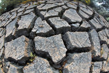 Kırık, kuru toprağın, küçük yeşil bir bitkinin filizlenmesiyle oluşmuş makro görüntüsü sert ortamlarda yaşamın esnekliğini gösteriyor. Çevresel temalar için mükemmel.