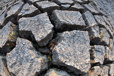 Kırık, kuru toprağın, küçük yeşil bir bitkinin filizlenmesiyle oluşmuş makro görüntüsü sert ortamlarda yaşamın esnekliğini gösteriyor. Çevresel temalar için mükemmel.