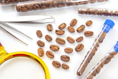 Test tüpleri, büyüteç ve cımbızla yapılan laboratuvar kahve analizi kalite testi ve gıda bilimini temsil ediyor.