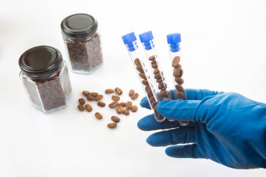 Kahve çekirdekleri titizlikle laboratuvar ortamında incelenir. Eldivenli bir el tarafından tutulan test tüpleri kavanozlar, cımbızlar ve temiz bir arkaplanda büyüteç ile birlikte.