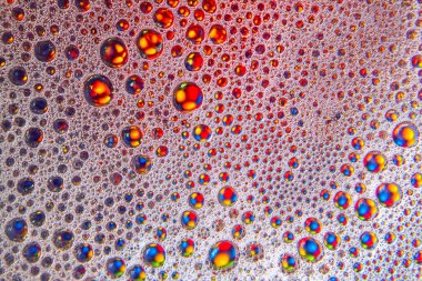 Bulanık bir arkaplanda soyut renkli yağlı sıvı topları