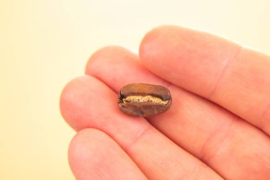 Kavrulmuş kahve çekirdeğini tutan bir elin ayrıntılı makro görüntüsü, yumuşak bej arka planda zengin dokusunu ve kahverengi tonlarını gösteriyor. Yemek fotoğrafçılığı ve malzeme odaklama için harika..