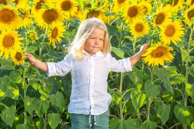 Genç bir çocuk canlı bir ayçiçeği tarlasında neşeli bir şekilde duruyor. Çocuğu çevreleyen uzun, parlak ayçiçekleri doğada güneşli bir günde neşeli bir atmosfer yaratıyor..