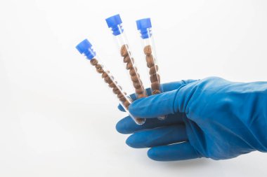 Mavi eldiven takan bir elde her biri kahve çekirdeği dolu üç şeffaf test tüpü bulunur..