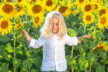 Neşeli bir çocuk, çiçek saplarını tutarken neşe saçan, yükselen ayçiçeklerinin arasında duruyor. Güneş parıldıyor, canlı renkleriyle yaz gününün güzelliğini arttırıyor..