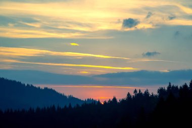 Çarpıcı bir günbatımı ufuk boyunca ılık renkler bırakır, sakin bir ormanı aydınlatır. Siluetli ağaçlar renkli gökyüzünü çerçeveletip alacakaranlıkta huzurlu bir atmosfer yaratıyor..