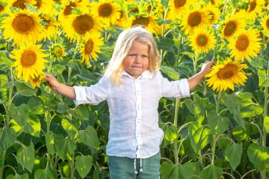 Gülümseyen bir çocuk, parlak bir ayçiçeği tarlasında duruyor, kollarını uzun ayçiçeklerinin arasına uzatarak. Güneş batıyor, neşeli bir atmosfer yaratıyor, çocuğun masumiyetini vurguluyor..