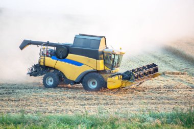 Büyük sarı bir hasatçı buğday tarlasında çalışır, açık gökyüzü ve güneş ışığı altında mahsul toplar. Makine kırsaldaki tahılları etkili bir şekilde kesip işledikçe toz yükselir..