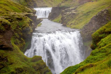 İzlanda 'daki yemyeşil kayalıklarla çevrili Seljalandsfoss şelalesinin nefes kesici manzarası. Sis, suyun çağlayanlarla birlikte yükselerek doğal ortamda sakin bir atmosfer yaratıyor..